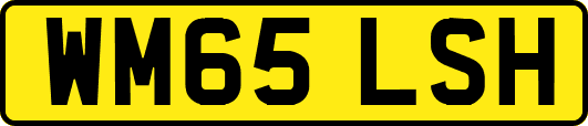 WM65LSH