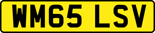 WM65LSV