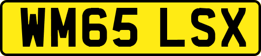 WM65LSX