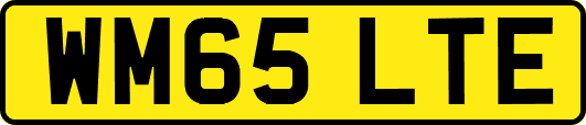 WM65LTE
