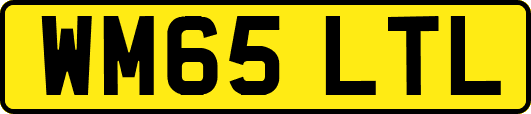 WM65LTL