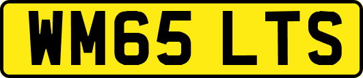 WM65LTS