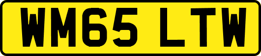 WM65LTW