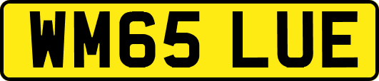 WM65LUE
