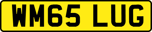 WM65LUG