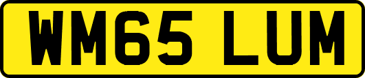 WM65LUM