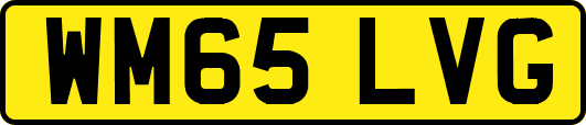 WM65LVG