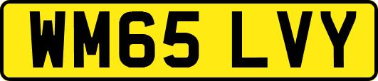 WM65LVY