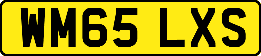 WM65LXS