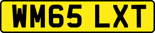 WM65LXT