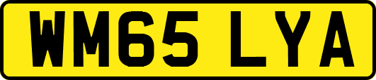 WM65LYA