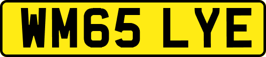 WM65LYE