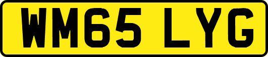 WM65LYG