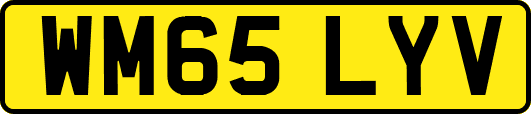WM65LYV
