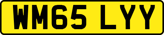 WM65LYY