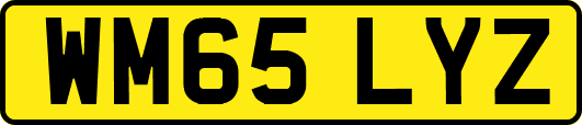 WM65LYZ