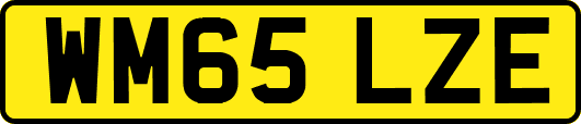 WM65LZE