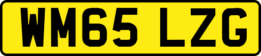 WM65LZG