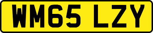 WM65LZY
