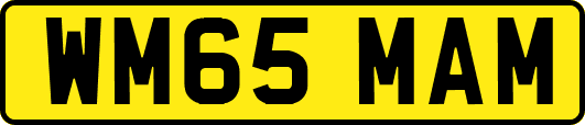 WM65MAM