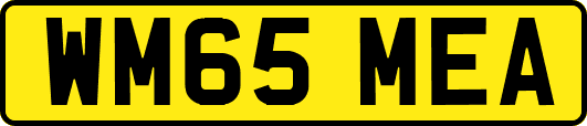 WM65MEA
