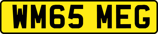 WM65MEG