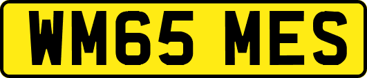 WM65MES