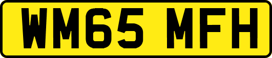 WM65MFH