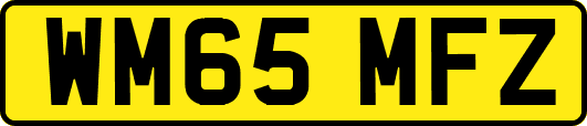 WM65MFZ