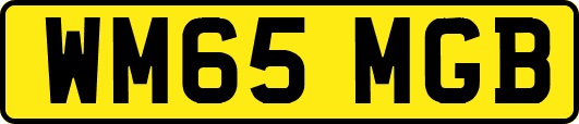 WM65MGB