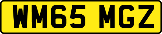 WM65MGZ