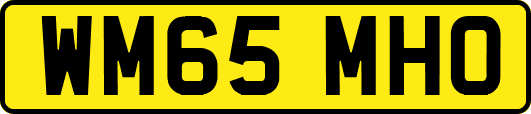 WM65MHO