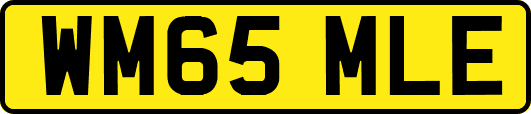 WM65MLE