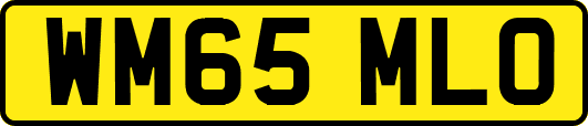 WM65MLO