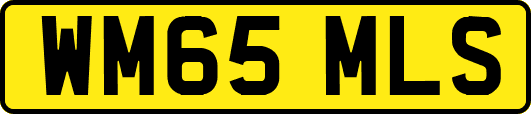 WM65MLS