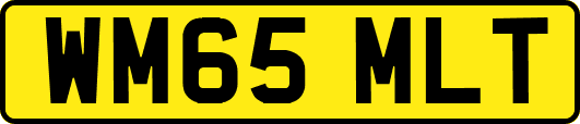 WM65MLT