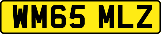 WM65MLZ