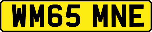 WM65MNE