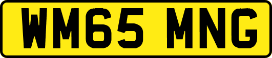 WM65MNG