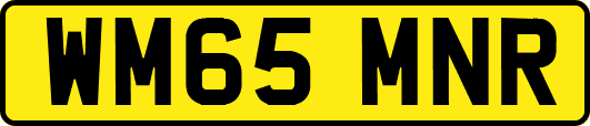 WM65MNR