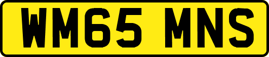 WM65MNS