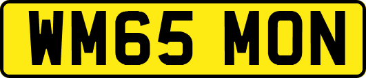 WM65MON