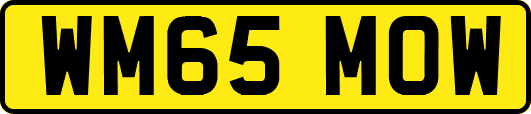 WM65MOW