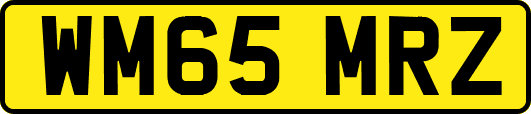 WM65MRZ