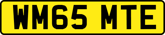 WM65MTE