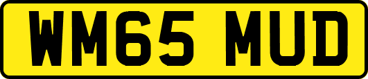 WM65MUD