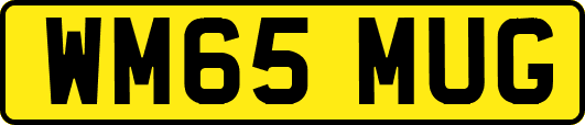 WM65MUG