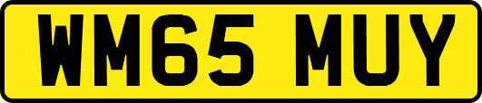 WM65MUY