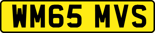 WM65MVS
