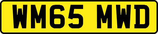 WM65MWD